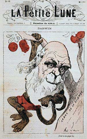 Darwin Cartoon