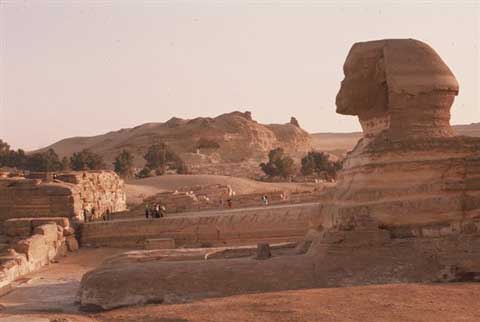 Sphinx from the side