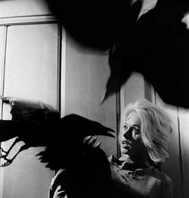 Tippi Hedren under attack